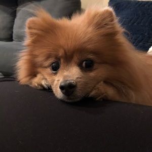 Meet your Posher, Kimberly